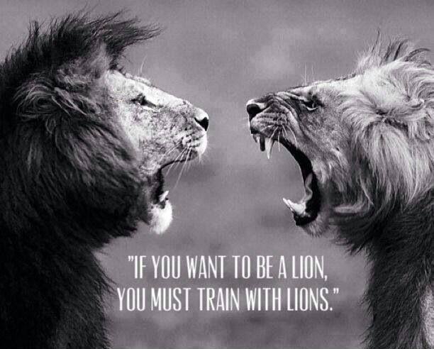 Top 10 BJJ Quotes of All Time